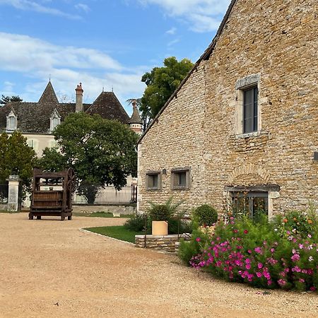 Chateau Du Mauny, Gites Et Chambres D'Hotes En Bourgogne Rosey 외부 사진