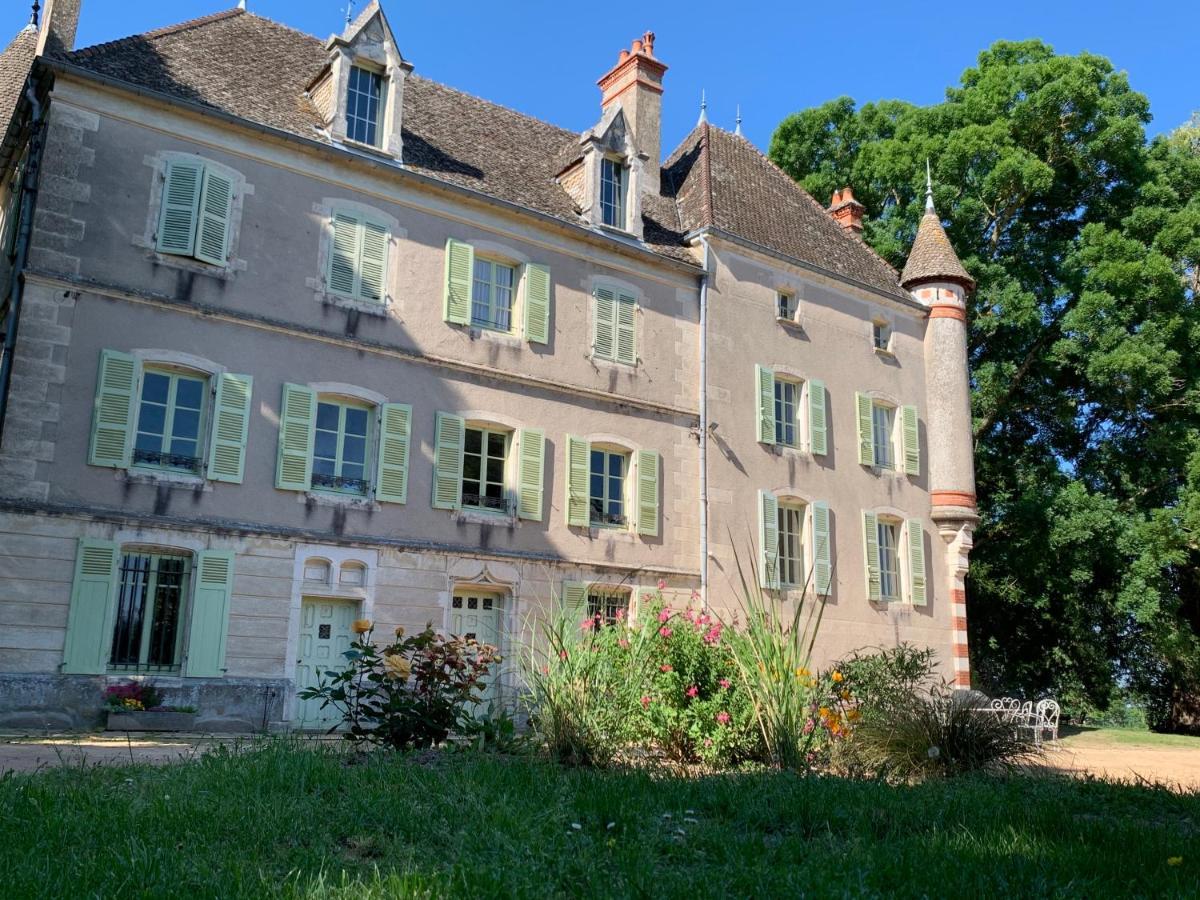 Chateau Du Mauny, Gites Et Chambres D'Hotes En Bourgogne Rosey 외부 사진