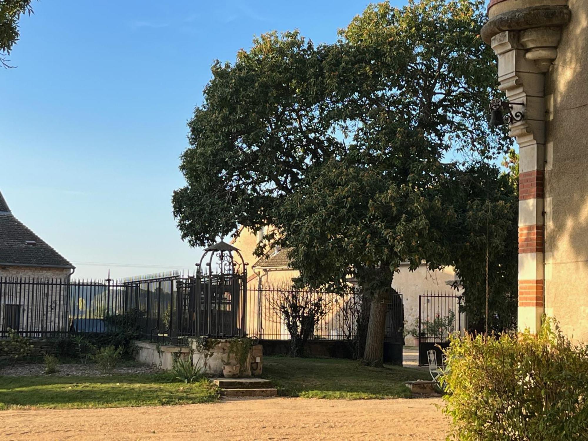 Chateau Du Mauny, Gites Et Chambres D'Hotes En Bourgogne Rosey 외부 사진