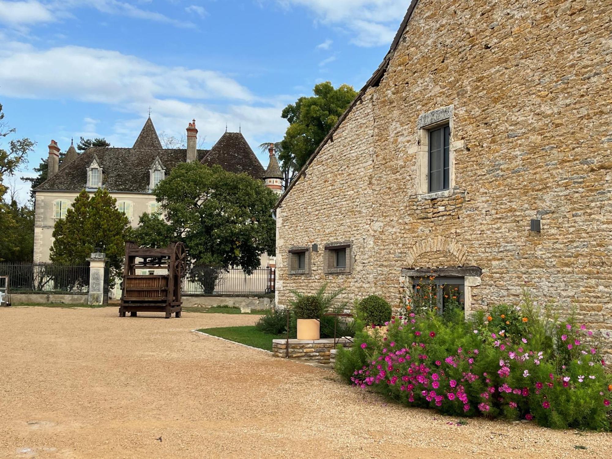 Chateau Du Mauny, Gites Et Chambres D'Hotes En Bourgogne Rosey 외부 사진